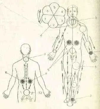 Рис 17 Упражнение 3 Дом переживаний Заболевания органов грудной и брюшной - фото 71