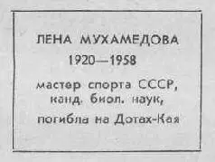 На могиле зеленеют свежие пучки папоротника россыпью лежат тюльпаны лапы - фото 2