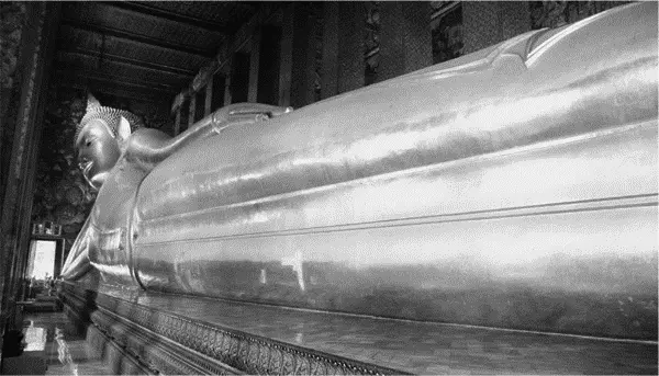 Такого больше нигде нет 46метровый лежащий Будда Существует много статуй - фото 38