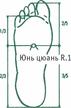 Лао гунДворец труда Точка расположена в середине ладони органа труда - фото 7