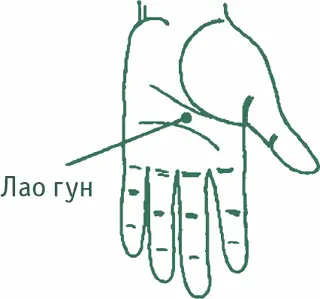 Бай хуэйСто встреч Сто соединений Точка пересечения заднесрединного - фото 8