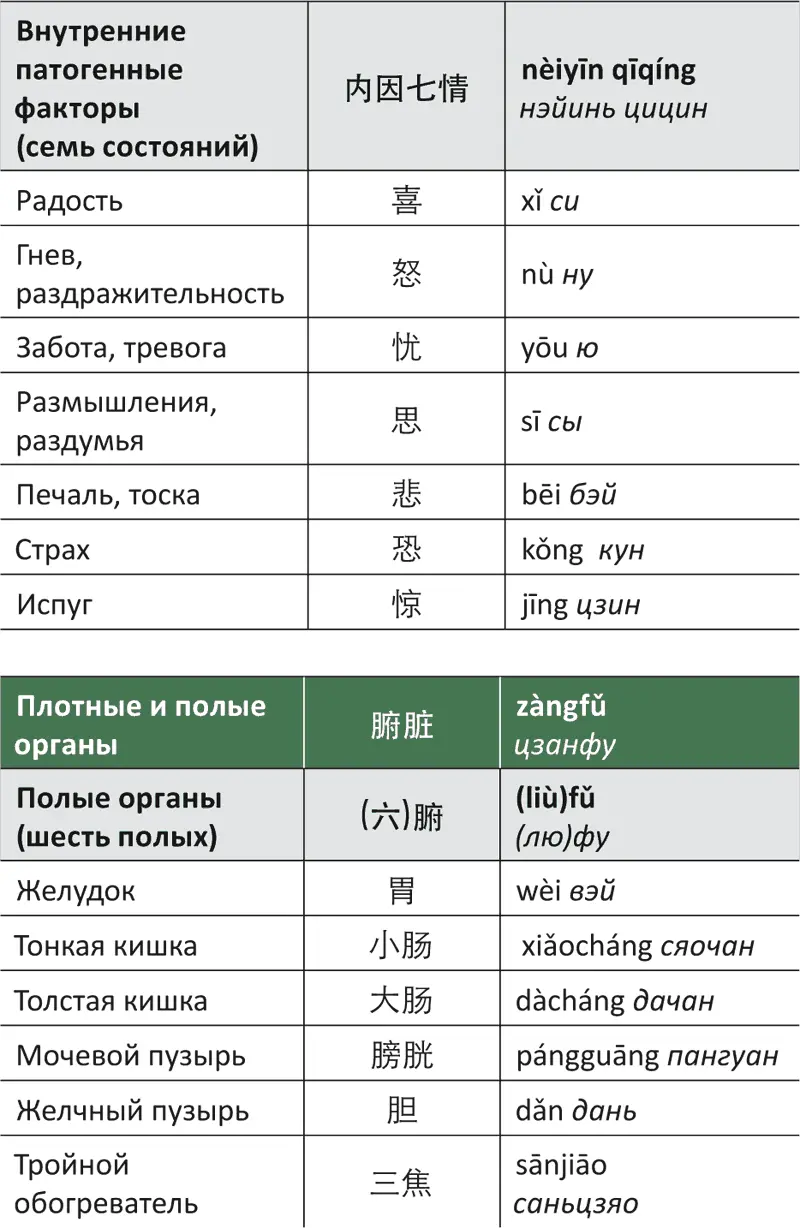 Лестница в небо или Китайская медицина порусски - фото 54