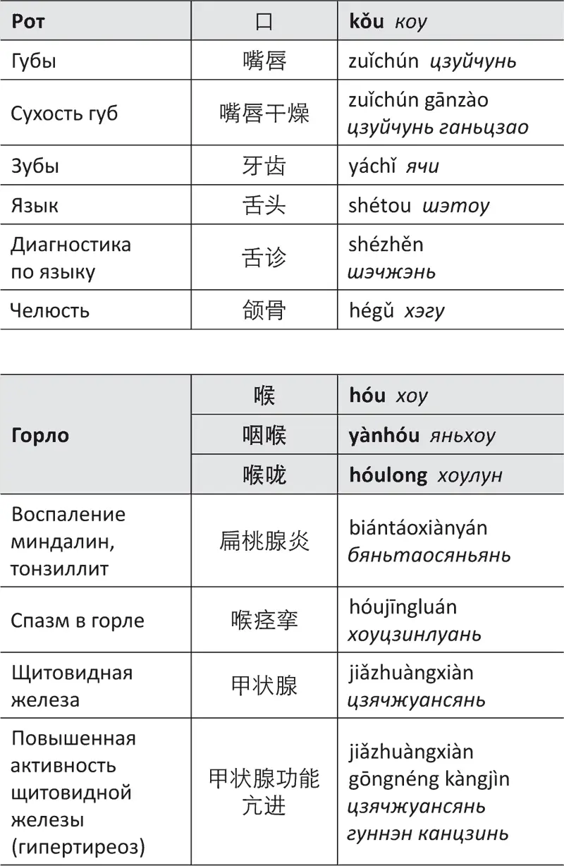 Лестница в небо или Китайская медицина порусски - фото 71