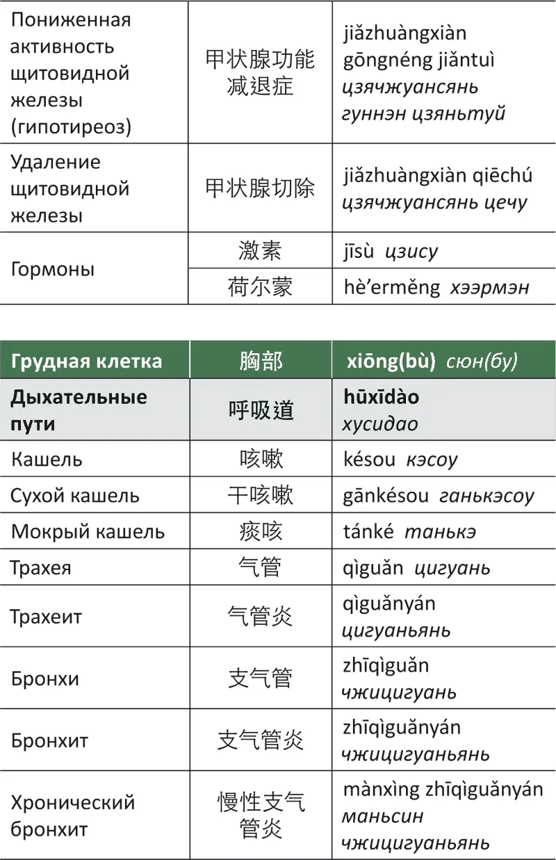 Лестница в небо или Китайская медицина порусски - фото 72