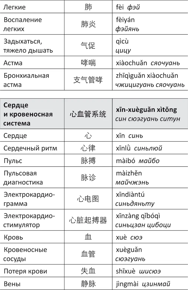 Лестница в небо или Китайская медицина порусски - фото 73