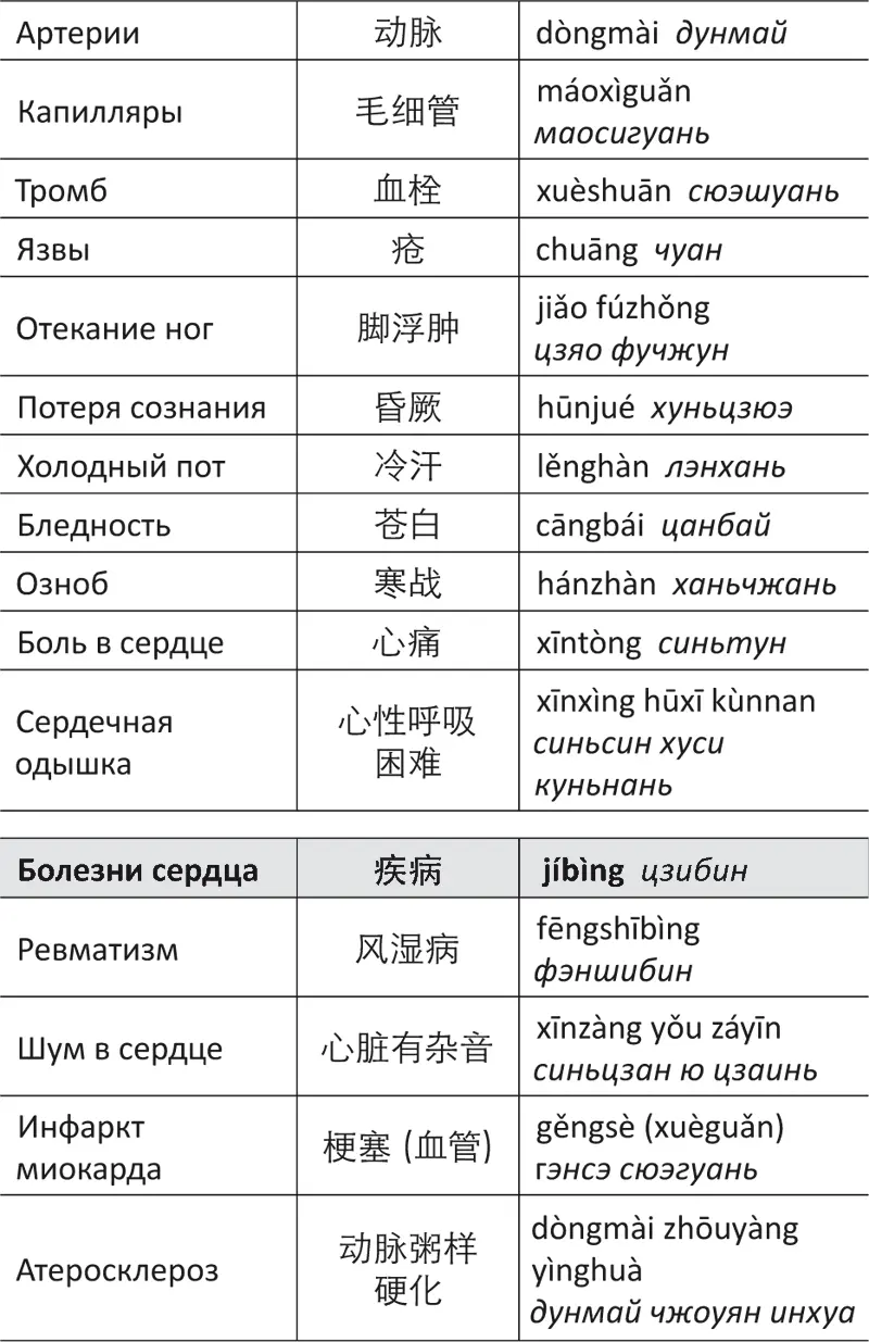Лестница в небо или Китайская медицина порусски - фото 74