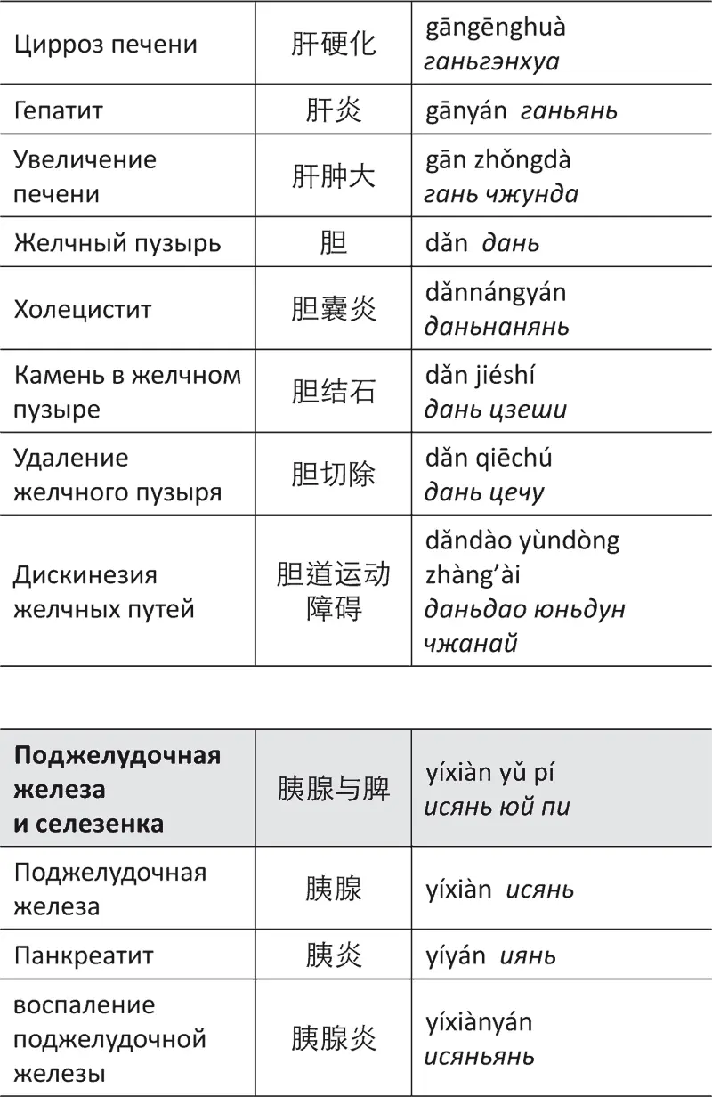 Лестница в небо или Китайская медицина порусски - фото 78
