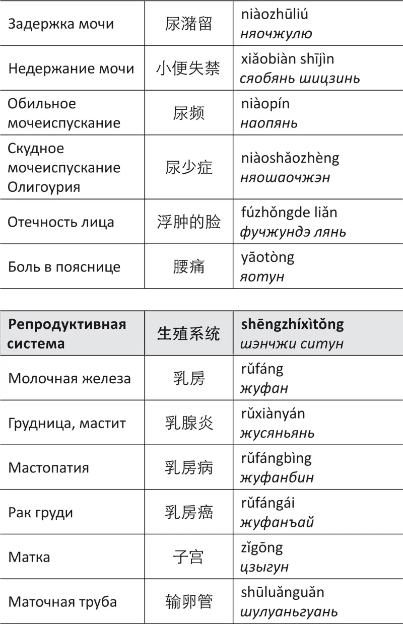 Лестница в небо или Китайская медицина порусски - фото 80