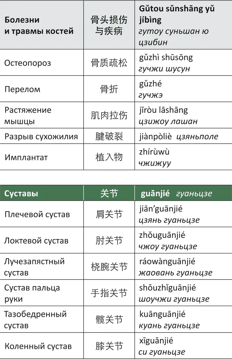 Основные части тела органы ткани и системы организма 3 - фото 86
