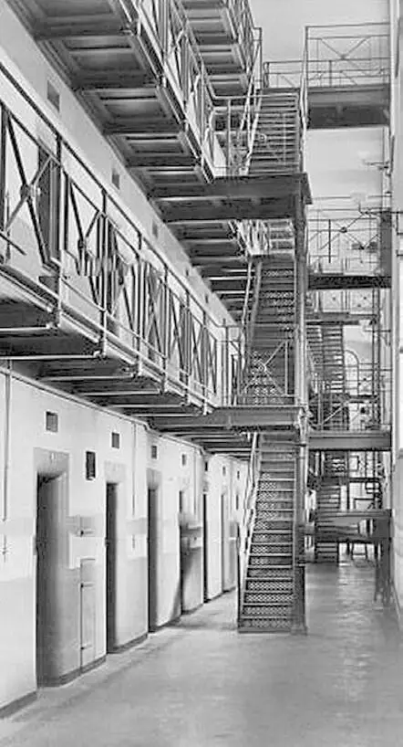 Свидетель Это было в середине нашего с Брауном суда в декабре 1969 года Дело - фото 5
