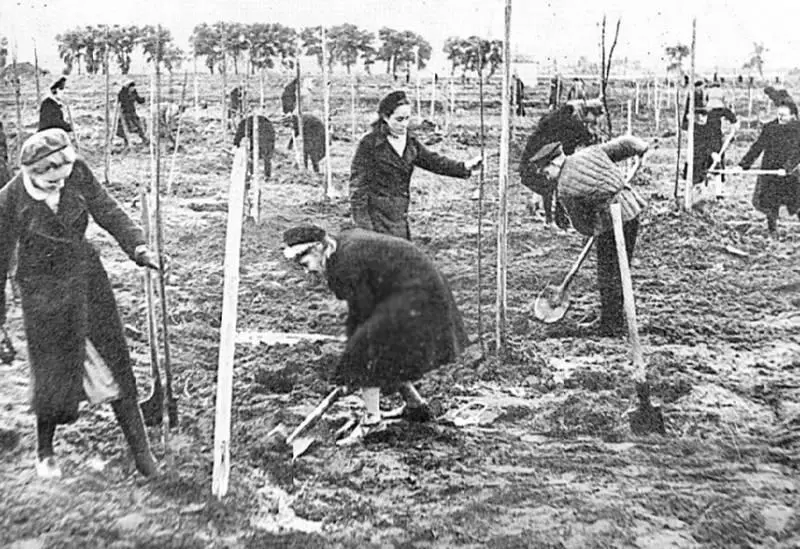 Студенты на работах по разбивке парка Октябрь 1945 г По замыслу - фото 195