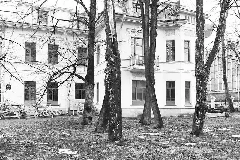 Константиновский пр 21 Особняк ВИ Левтеевой Особняк ВИ Левтеевой по - фото 294