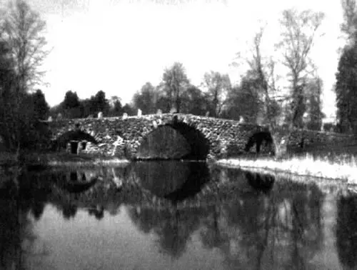 Верхний пруд самый большой был хозяйственным вода из него через центральную - фото 100