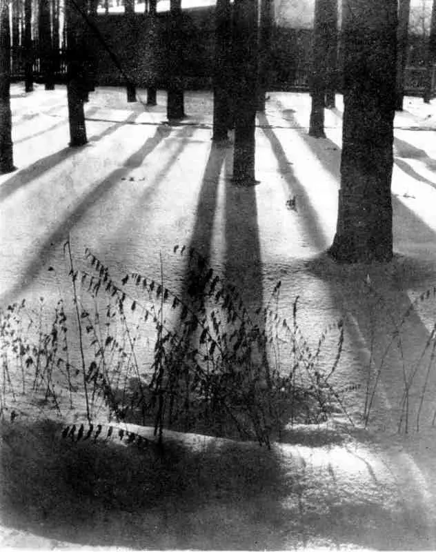 Зимние тени БУБЕНЦЫ Лесной проселок вьется в сосняке того и гляди упрется - фото 3