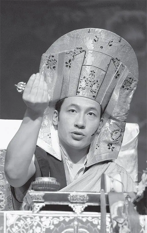 Часть I Распознавание Короля Дхармы В тибетском буддизме традиция Карма - фото 1