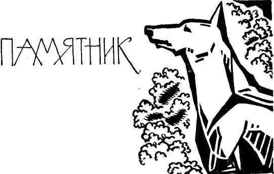 На полпути между заставой и границей есть бугор заросший тамариском а на нем - фото 8