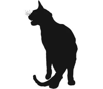 Оптимальный возраст в котором нужно делать котенку первую прививку 8 - фото 6