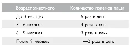 При одноразовом кормлении еду лучше давать на ночь Если вы надолго уходите из - фото 9
