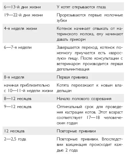 Особенности здоровья присущие разным породам кошек По сравнению с породами - фото 14