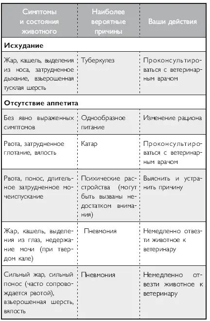 Здоровье кошки от усов до кончика хвоста - фото 19