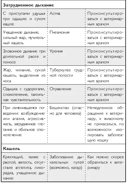 Здоровье кошки от усов до кончика хвоста - фото 20