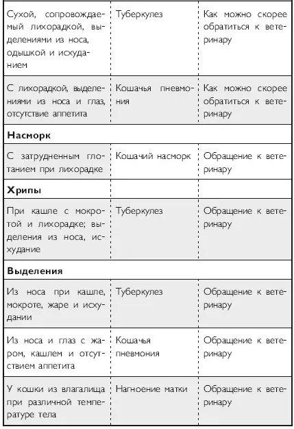 Здоровье кошки от усов до кончика хвоста - фото 21