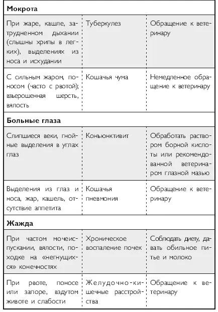 Здоровье кошки от усов до кончика хвоста - фото 22