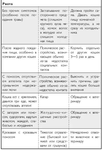 Здоровье кошки от усов до кончика хвоста - фото 23