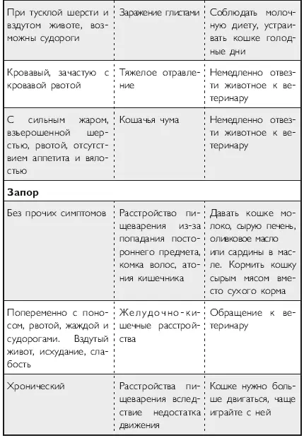 Здоровье кошки от усов до кончика хвоста - фото 25