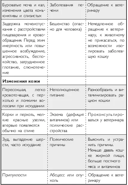 Здоровье кошки от усов до кончика хвоста - фото 27