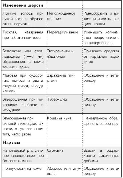 Здоровье кошки от усов до кончика хвоста - фото 29