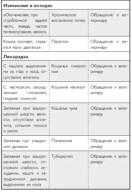 В заключение хочется сказать что каждый человек заводя кошку заранее - фото 30