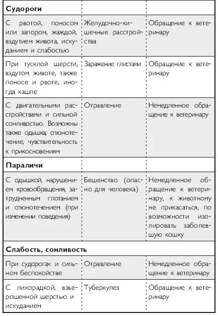 В заключение хочется сказать что каждый человек заводя кошку заранее - фото 31
