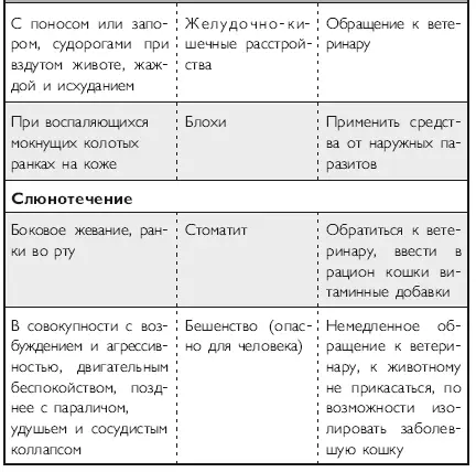 В заключение хочется сказать что каждый человек заводя кошку заранее - фото 32