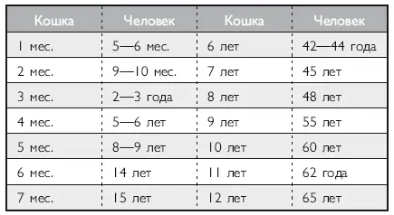 На сегодняшний день рекордсменкой долголетия считается кошка из Великобритании - фото 34