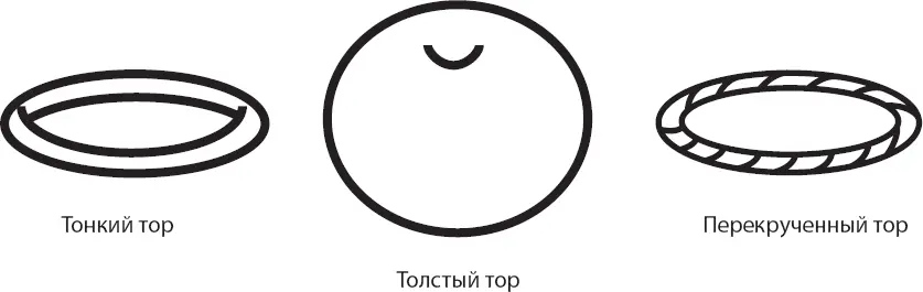 Математики называют эти параметры определяющие форму и размеры тора модулями - фото 64