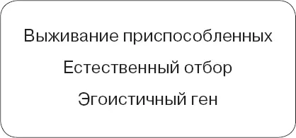 Естественный отбор Если бы мне пришлось сократить эту книгу до единственного - фото 96