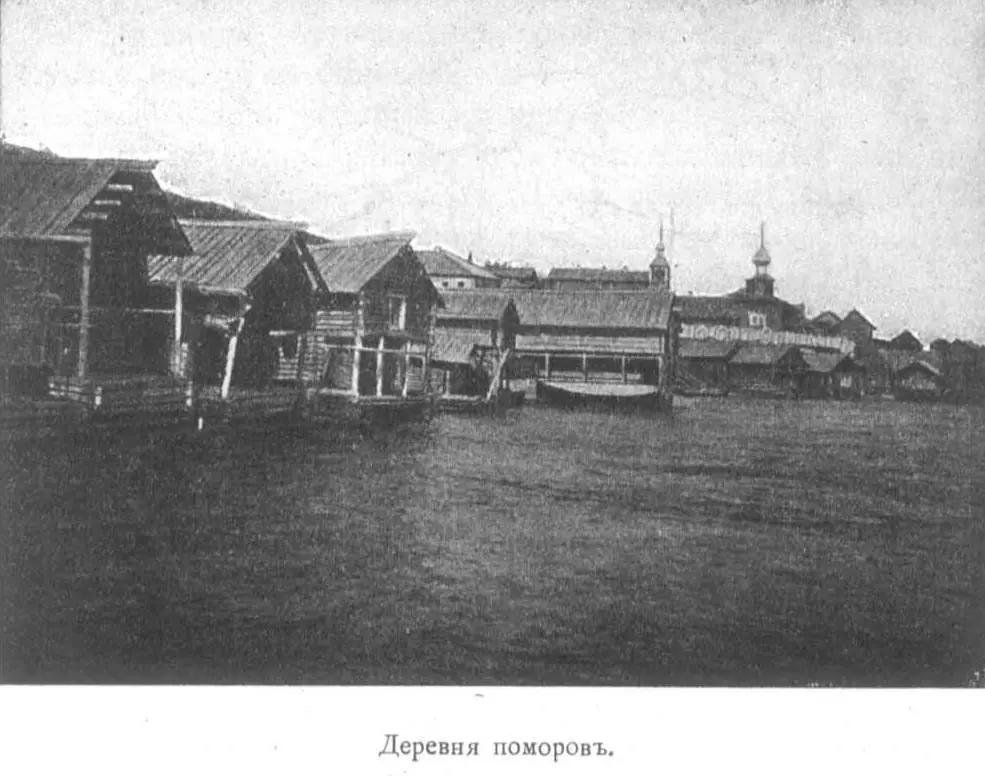 Уж этого добра вдосталь бурчит матрос презрительно сплевывая Коров - фото 10