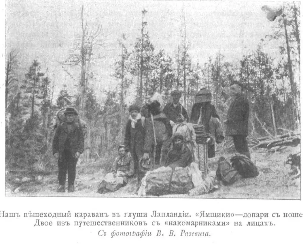 Но никаких лошадей в Лапландии нет нет и ямщиков Лошадь это в зимнее - фото 19