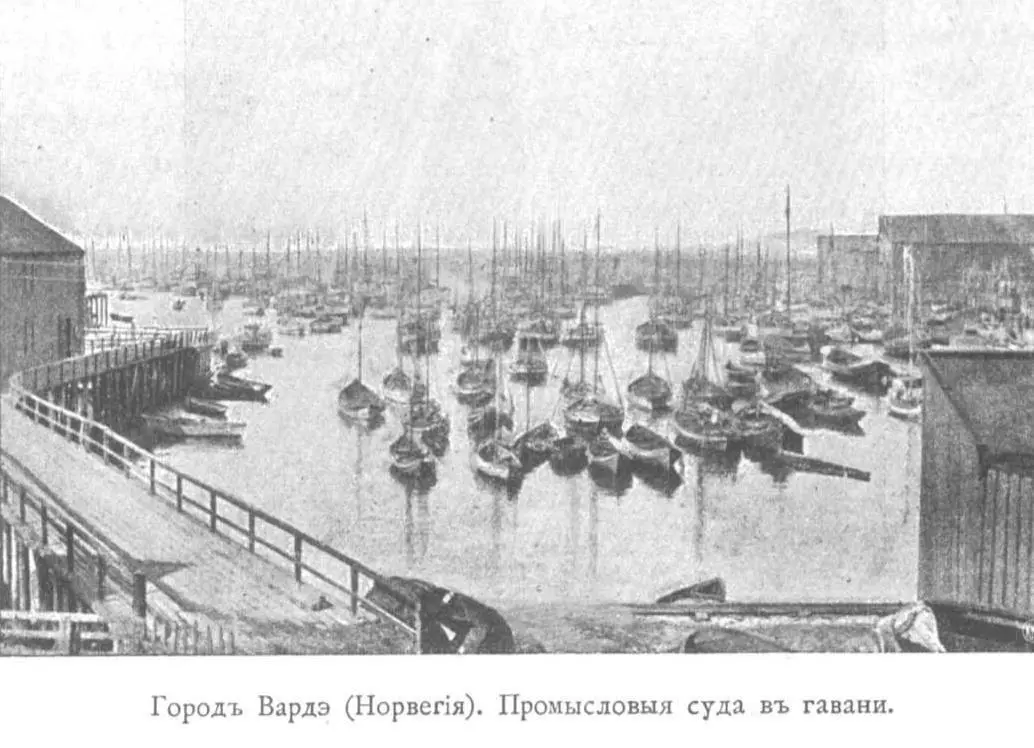 Прекрасны белые зоркие чайки на реях парусных судов на синезеленых волнах - фото 53