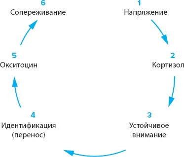 Рис 321Круг внимания Люди изучающие воздействие историй или рассказов - фото 34