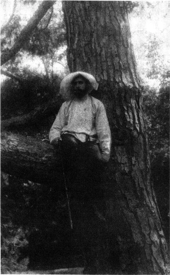 Самуил Киссин Фотография Л Я Брюсовой 1911 год Самым близким другом - фото 10