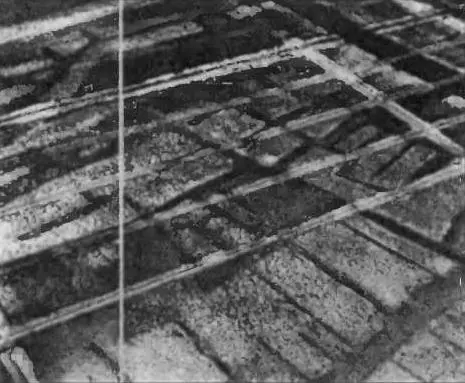 Аэрофотосъемка Черные полосы улицы этрусской Спины С той поры минули - фото 73