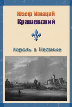 Юзеф Крашевский - Король в Несвиже (сборник)