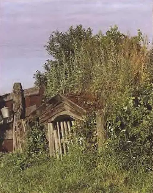 Рис В83 Еще один выход курганкладовая в русской деревне Фотография - фото 88