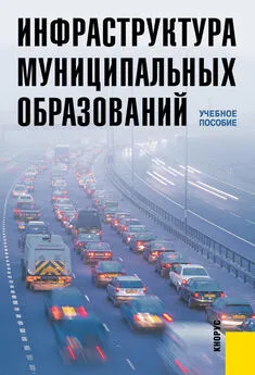  Коллектив авторов - Инфраструктура муниципальных образований