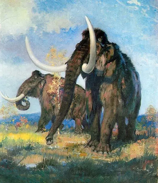 I MAMMUTHUS PRIMIGENIUS FRAASI 1961 год масляная живопись на холсте 60х50 - фото 1