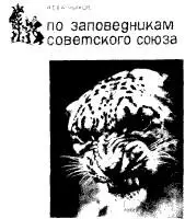 83 Обложка научнопопулярной книги с хорошо выбранной фотоиллюстрацией 84 - фото 115