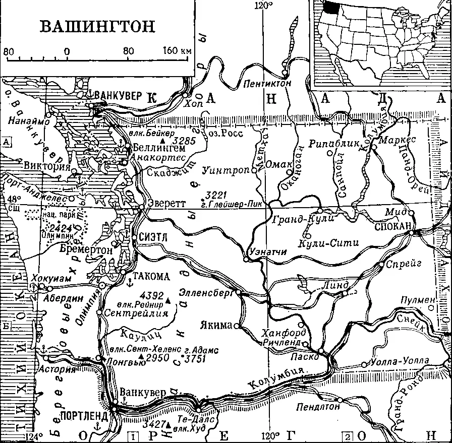 Вашингтон Вашингтония ВашингтонияWashingtonia род вееролистных пальм 2 - фото 381