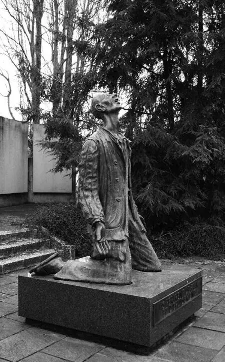 Мемориал в Мюлузе памяти насильно призванных эльзасцев и мозельцев погибших в - фото 81